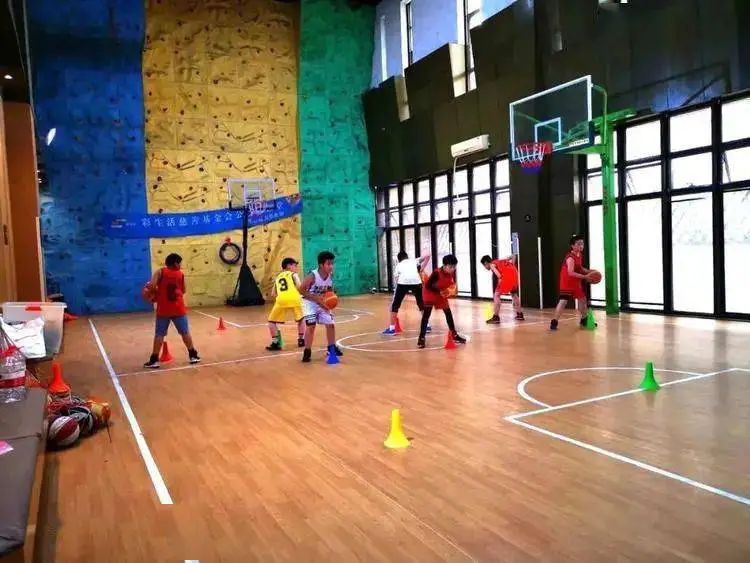 如何借助专业篮球教练提升个人声誉_1
